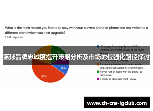 篮球品牌忠诚度提升策略分析及市场地位强化路径探讨