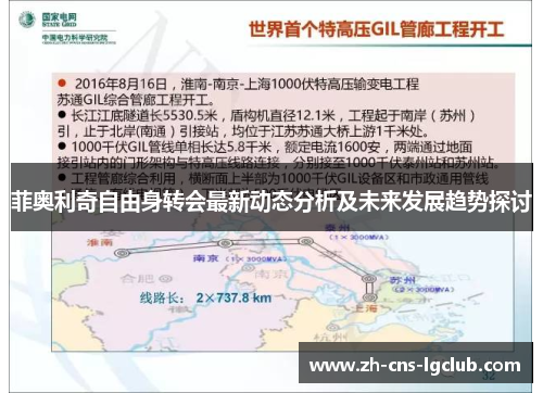 菲奥利奇自由身转会最新动态分析及未来发展趋势探讨