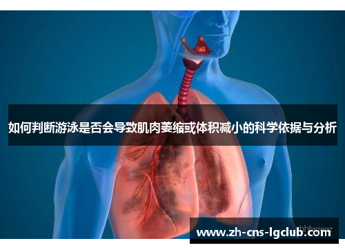 如何判断游泳是否会导致肌肉萎缩或体积减小的科学依据与分析