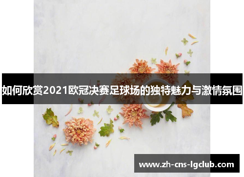 如何欣赏2021欧冠决赛足球场的独特魅力与激情氛围