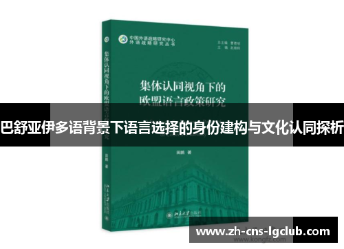 巴舒亚伊多语背景下语言选择的身份建构与文化认同探析 巴舒亚伊多语背景下语言选择的身份建构与文化认同探析