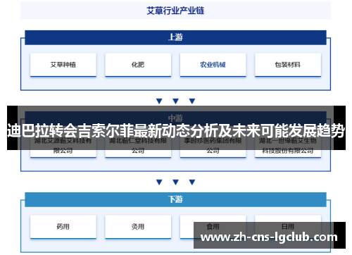 迪巴拉转会吉索尔菲最新动态分析及未来可能发展趋势 迪巴拉转会吉索尔菲最新动态分析及未来可能发展趋势