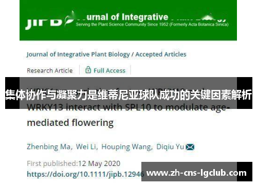 集体协作与凝聚力是维蒂尼亚球队成功的关键因素解析 集体协作与凝聚力是维蒂尼亚球队成功的关键因素解析