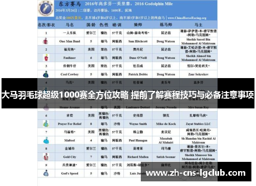 大马羽毛球超级1000赛全方位攻略 提前了解赛程技巧与必备注意事项