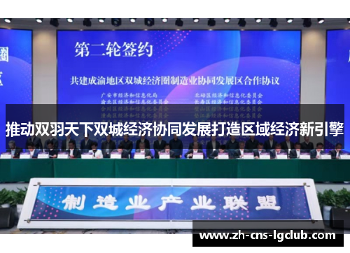 推动双羽天下双城经济协同发展打造区域经济新引擎