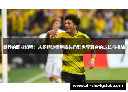 桑乔的职业旅程：从多特边锋崭露头角到世界舞台的成长与挑战