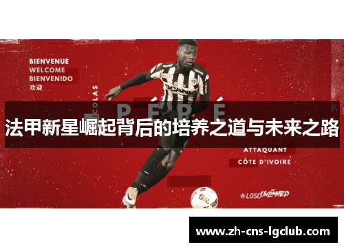 法甲新星崛起背后的培养之道与未来之路